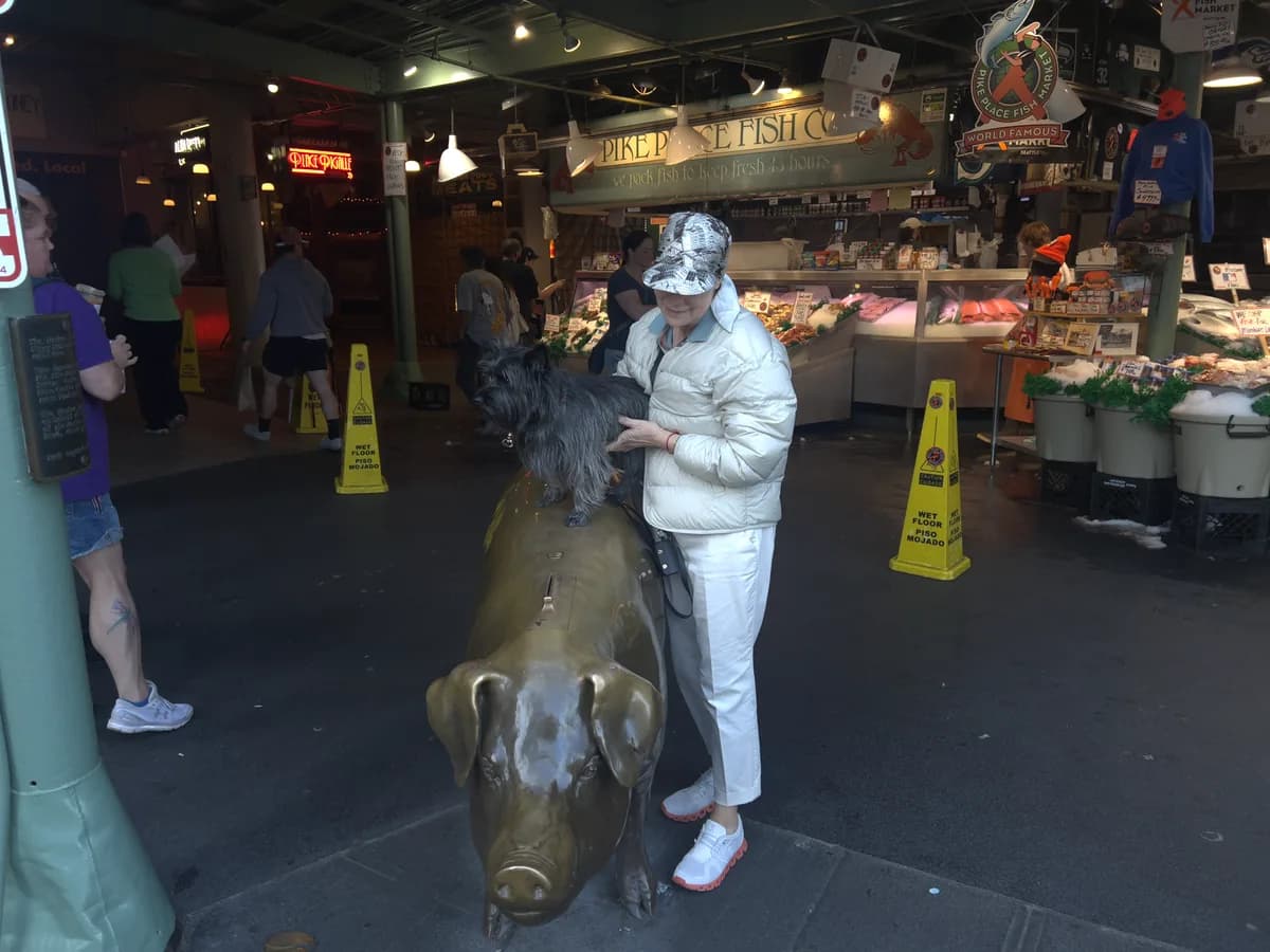 Visitor with Rachel the Pig bronze statue at the Pike Place fish market